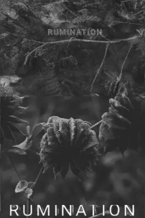 Movie poster "RUMINATION"