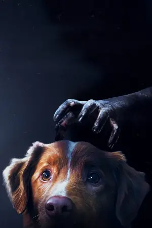 Poster to the movie "Good Boy" #517409