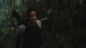 Backdrop to the movie "The Hunger Games: Catching Fire" #836268