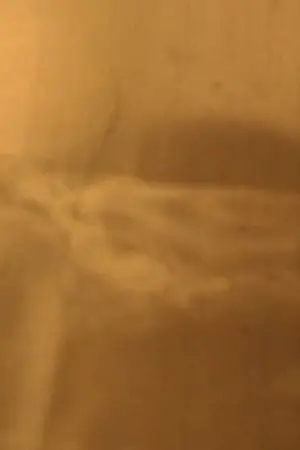 Poster to the movie "FOTOGRAFAR" #572479