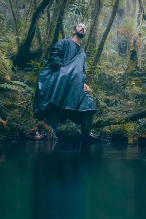 Poster to the movie "La forêt d