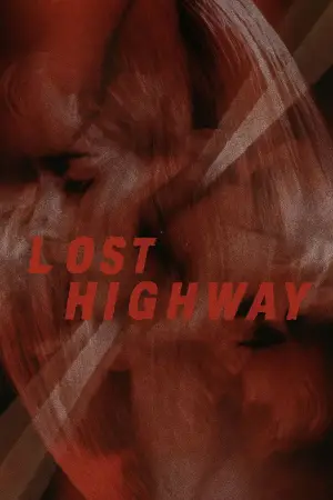 Poster to the movie "Lost Highway" #533704