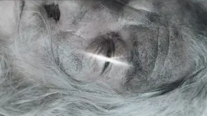 Backdrop to the movie "The Lord of the Rings: The Two Towers" #516316