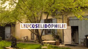 Backdrop to the movie "Leucosélidophilie" #794775