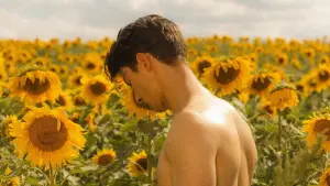 Backdrop to the movie "Sunflower" #476392