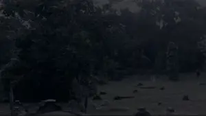 Backdrop to the movie "Where Have You Gone, Girl?" #544658