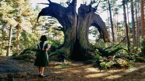 Backdrop to the movie "Pan