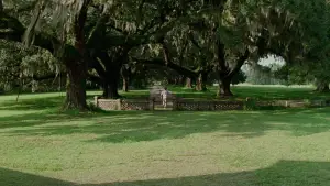 Backdrop to the movie "Forrest Gump" #828652