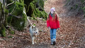 Backdrop to the movie "Vicky and Her Mystery" #237527