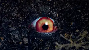 Backdrop to the movie "The Forbidden Play" #758126