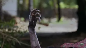 Backdrop to the movie "Diés Iraé" #575281