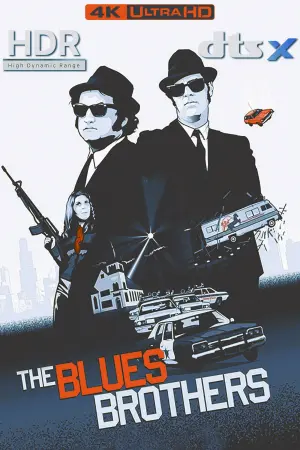 Poster to the movie "The Blues Brothers" #188605