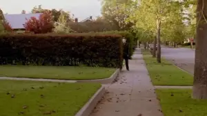 Backdrop to the movie "Halloween" #610809