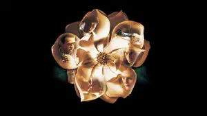 Backdrop to the movie "Magnolia" #670075