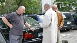 Backdrop to the movie "Pitbull" #460592