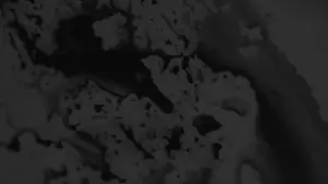 Backdrop to the movie "I Can’t Bear the Vanishing Gentleness of This World" #554400