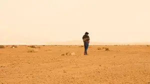 Backdrop to the movie "Dust to Dusk" #932198