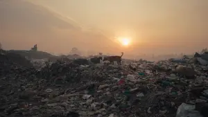 Backdrop to the movie "Plastic Fantastic" #761560