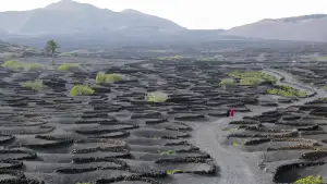 Backdrop to the movie "Bitter Christmas" #796263