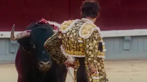 Backdrop to the movie "Afternoons of Solitude" #675275