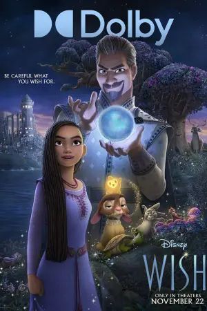 Poster to the movie "Wish" #342