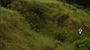 Backdrop to the movie "All We Imagine As Light" #460166