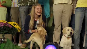 Backdrop to the movie "Marley & Me: The Puppy Years" #397640