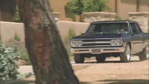 Backdrop to the movie "Finish Line" #687911