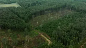 Backdrop to the movie "Vertical Money" #353395