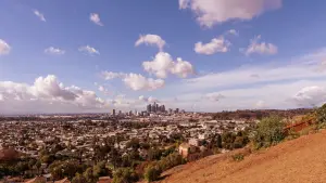 Backdrop to the movie "Bound by Honor" #750558