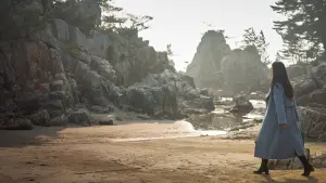 Backdrop to the movie "Decision to Leave" #219021