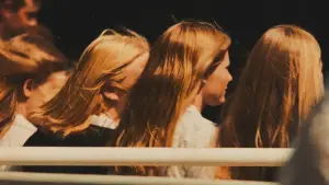 Backdrop to the movie "The Virgin Suicides" #807756