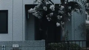 Backdrop to the movie "Chime" #525466