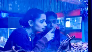 Backdrop to the movie "The Shameless" #650401