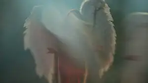 Backdrop to the movie "The Testament of Ann Lee" #796100