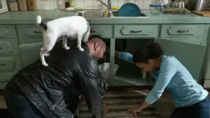 Backdrop to the movie "My Spy" #617406