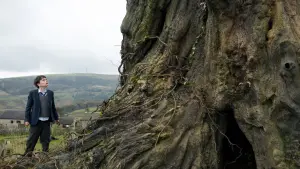 Backdrop to the movie "A Monster Calls" #228547
