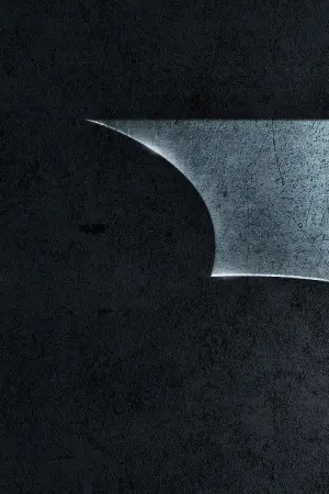 Poster to the movie "Batman Begins" #558727