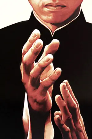 Poster to the movie "Ip Man" #715888