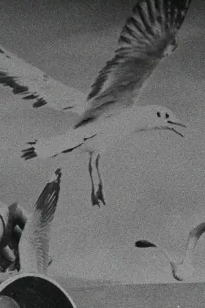 Poster to the movie "Local Sensations" #782249