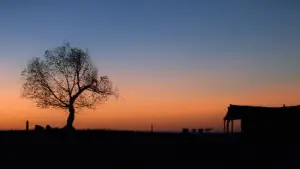 Backdrop to the movie "Unforgiven" #657908