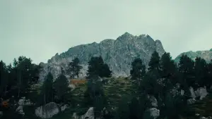 Backdrop to the movie "Sempre, sempre" #775603