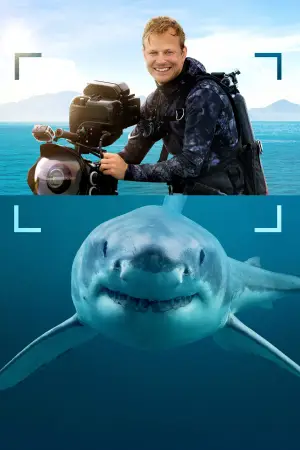 Poster to the movie "Sharks Up Close with Bertie Gregory" #793037