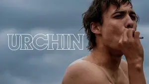 Urchin