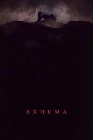 Poster to the movie "Exhuma" #588855