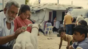 Backdrop to the movie "Sleepless City" #764951