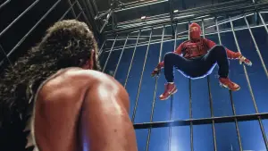 Backdrop to the movie "Spider-Man" #550159