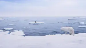 Backdrop to the movie "Kina & Yuk : renards de la banquise" #757763