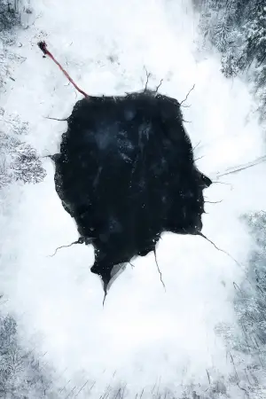 Poster to the movie "Dead of Winter" #521525