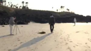 Backdrop to the movie "In Water" #484593